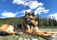 Wyatt enjoys camping at Petersen Creek in British Columbia