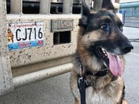 Wyatt meets Ice Road Truckers in Whitehorse, Yukon