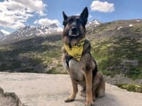 Wyatt at the Alaska Border