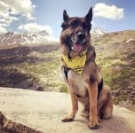 Wyatt at the Alaska Border