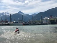 Wyatt swims in Skagway, Alaska