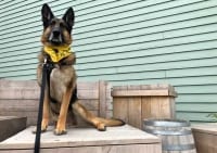 Wyatt visits Skagway, Alaska