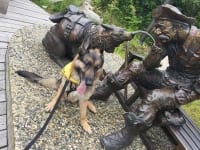 Wyatt visits Skagway, Alaska
