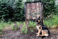 Wyatt at Braeburn sled dog race checkpoint.