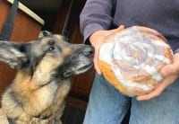 Wyatt wants the Braeburn bun!