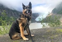 Wyatt at Glacier near Steart, BC and Hyder, Alaska