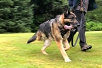 Wyatt at Hyder, Alaska Farmers Market