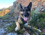 Wyatt at Salmon Glacier Summit