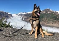 Wyatt at Salmon Glacier Summit