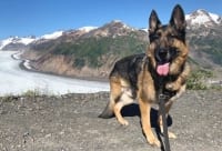 Wyatt at Salmon Glacier Summit