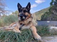 Wyatt Ray, Camping at Great Basin National Park