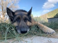 Wyatt Ray, Camping at Great Basin National Park