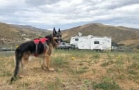 Wyatt Ray, Boondocking in Boise Idaho