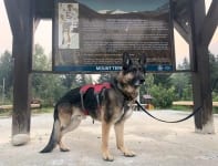 Wyatt pays tribute at Terry Fox Mountain