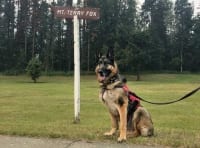 Wyatt pays tribute at Terry Fox Mountain