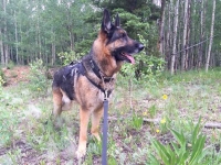 Wyatt at Deer Lakes