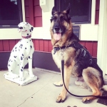 Wyatt and Lake City Firehouse Dog