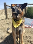 Wyatt Watching 2017 Total Eclipse in Wyoming