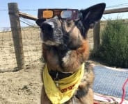 Wyatt Watching 2017 Total Eclipse in Wyoming