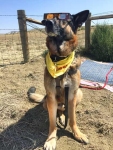 Wyatt Watching 2017 Total Eclipse in Wyoming