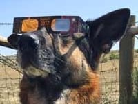 Wyatt Watching 2017 Total Eclipse in Wyoming