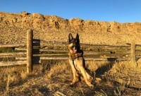 Wyatt in Sinclair, Wyoming