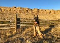 Wyatt in Sinclair, Wyoming