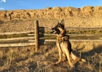 Wyatt in Sinclair, Wyoming