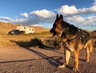 Wyatt in Sinclair, Wyoming