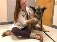 Tripawds Spokesdawg Wyatt with Dr Wendlund at CSU