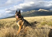 Wyatt Ray on the road near Blanca Peak, Colorado