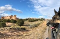 Wyatt Ray on the road near Nambe, NM