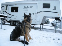 Wyatt in Fort Collins Snow