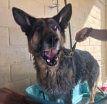 Spaw Day for Wyatt Ray