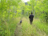 Wyatt on walk in the Crystal Lakes woods