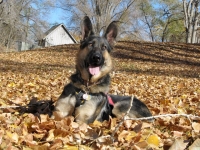 Wyatt leaves Big Bend RV Park Fernley, NV