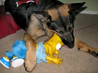 Wyattt chomps on Bart