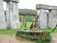 Wyatt visits Stonehenge II in Hunt, TX