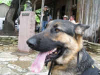 Wyatt and Hondo at Luckenbach, Texas