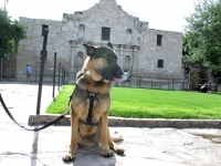 Wyatt in front of the Alamo in San Antonio, TX