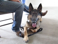 Wyatt gets dominated at first training session.