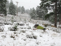 Wyatt runs in snow at Crystal Lakes property