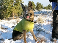 Wyatt in snow at Crystal Lakes