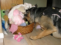 Wyatt Steals Toys from Cousin Bree