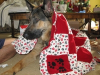 Feliz Navidog for Wyatt Ray 2010