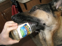 Wyatt likes all natural peanut butter.
