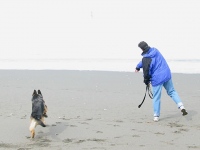 Wyatt and Jim Play on Samoa Beach Eureka, CA