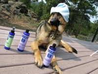 Wyatt Enjoys EO Natural Pet Grooming Products
