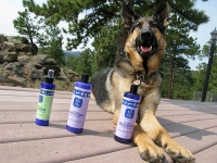 Wyatt Enjoys EO Natural Pet Grooming Products