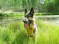 Wyatt at Vickers ranch upper lakes